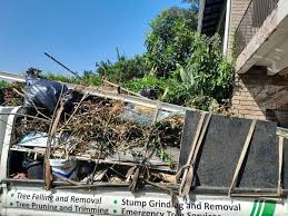 Best Dumpster Rental Services  in Cambridge City, IN