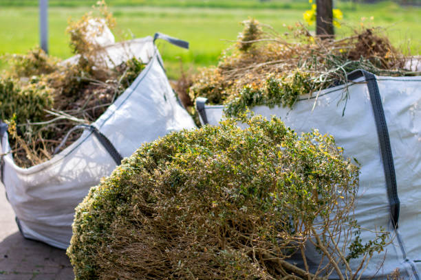 Best Same-Day Junk Removal Services  in Cambridge City, IN